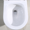 1.0 그피프 요업 미국 표준 1조각 듀얼 수세식 변기 화장실